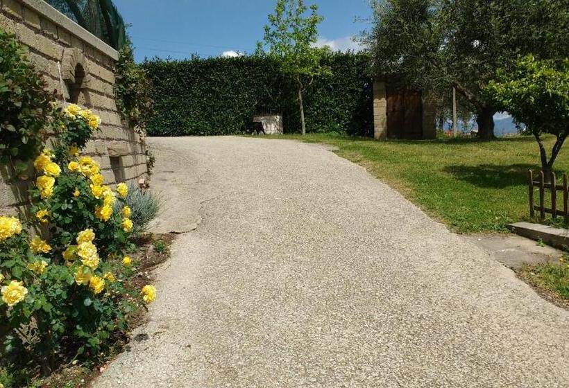 צימר Bed And Bikers