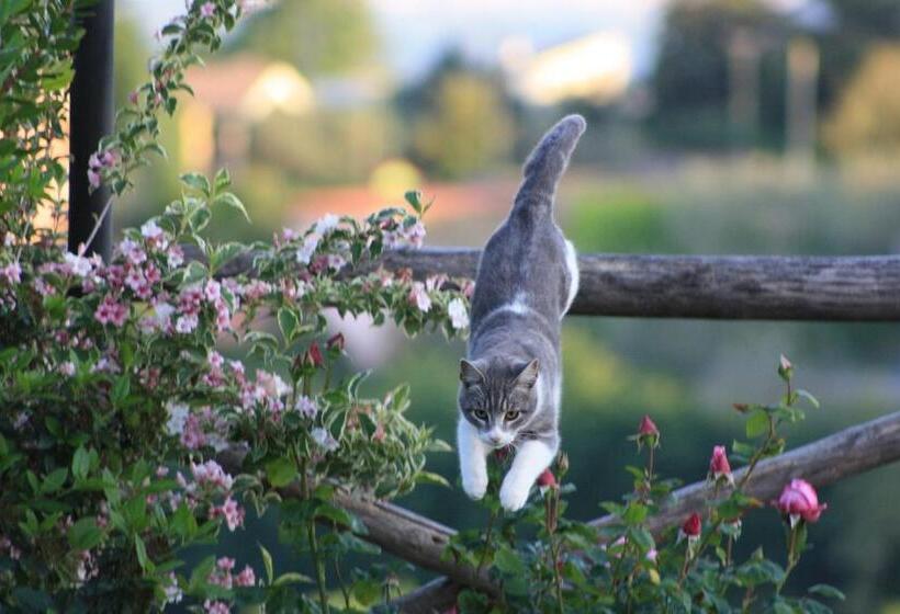 צימר Bed And Bikers