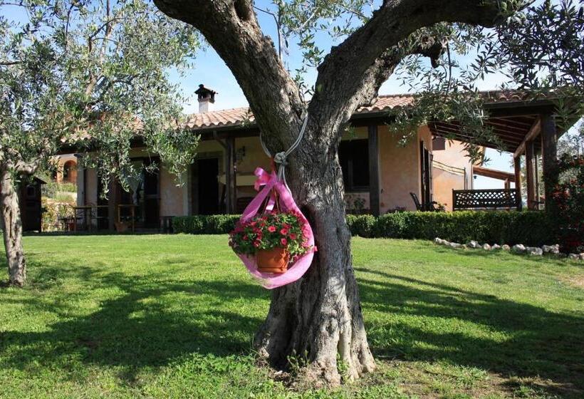 צימר Bed And Bikers