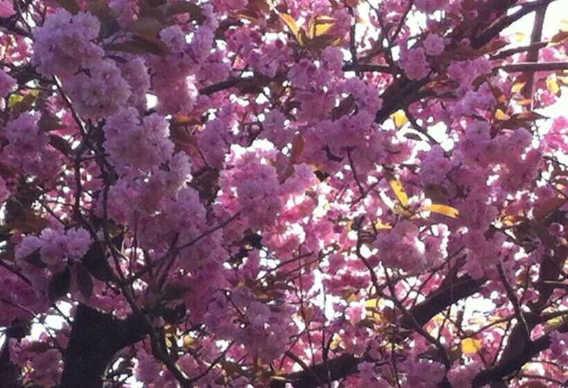 住宿加早餐  Chambre D Hôte Près De Deauville