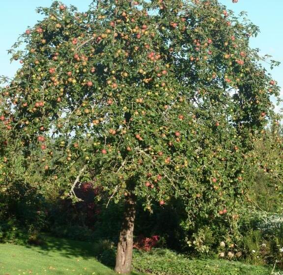 住宿加早餐  Chambre D Hôte Près De Deauville
