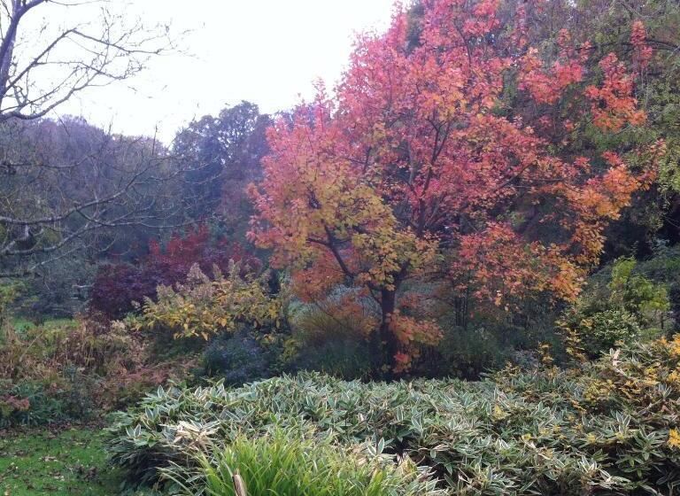 住宿加早餐  Chambre D Hôte Près De Deauville