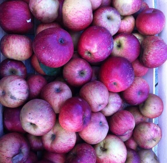 住宿加早餐  Chambre D Hôte Près De Deauville