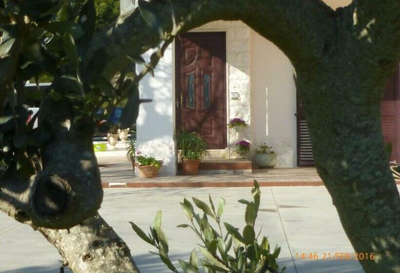 住宿加早餐  Dimora Antonianna In Valle D Itria