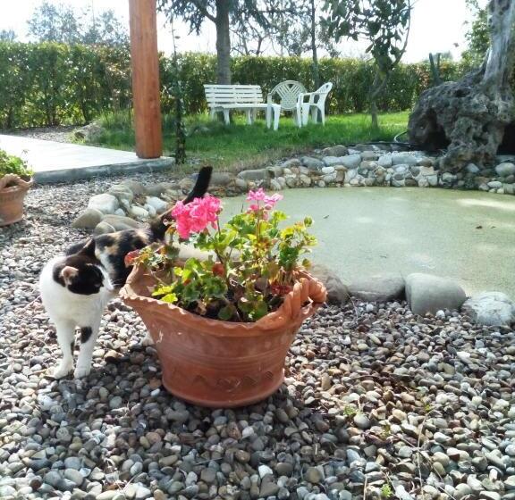 تختخواب و صبحانه Dimora Antonianna In Valle D Itria