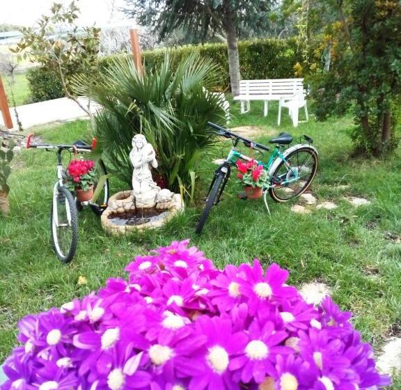 住宿加早餐  Dimora Antonianna In Valle D Itria