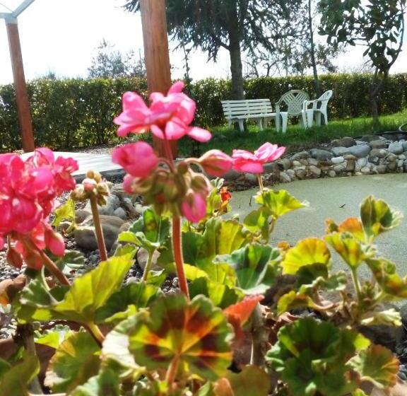 住宿加早餐  Dimora Antonianna In Valle D Itria