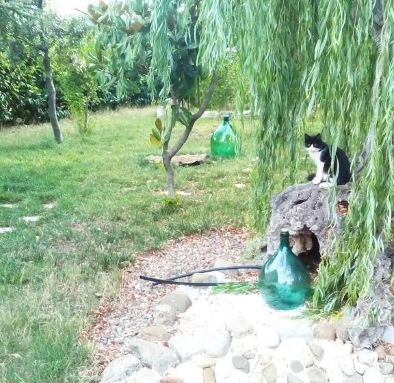 تختخواب و صبحانه Dimora Antonianna In Valle D Itria