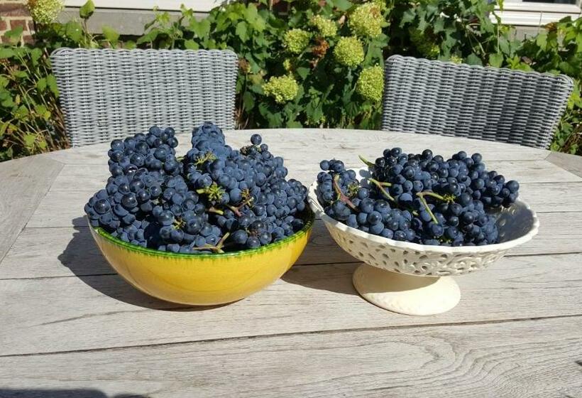 צימר Guesthouse Biolleke