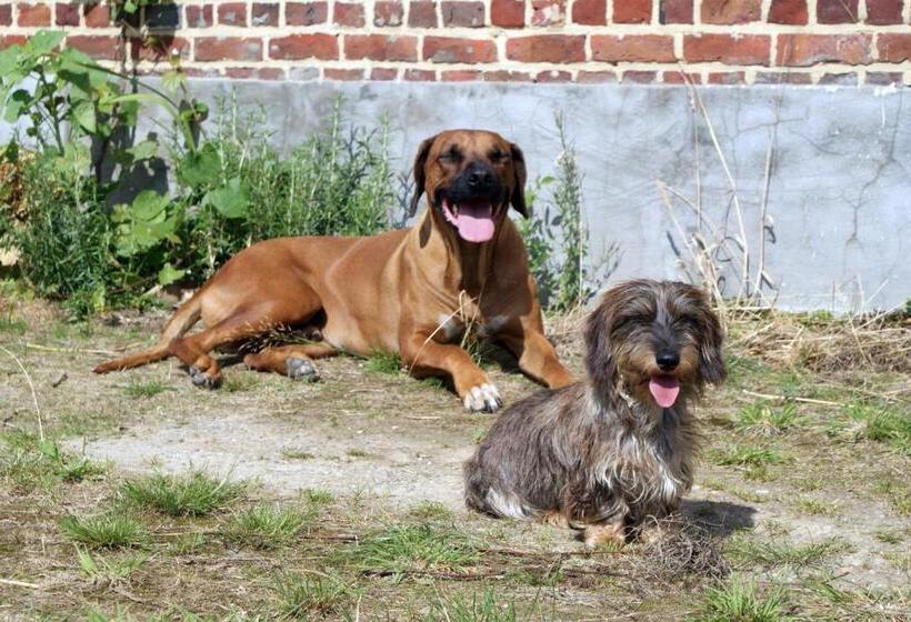 צימר Guesthouse Biolleke