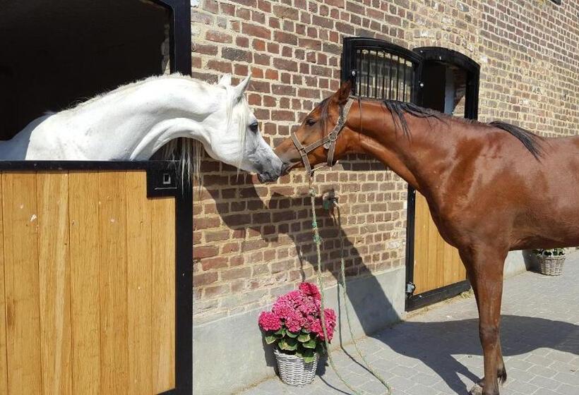 צימר Guesthouse Biolleke