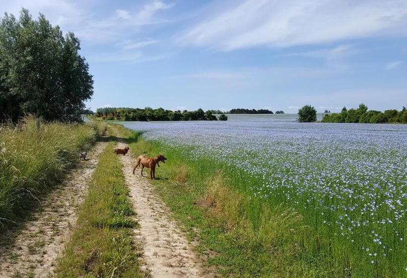 צימר Guesthouse Biolleke
