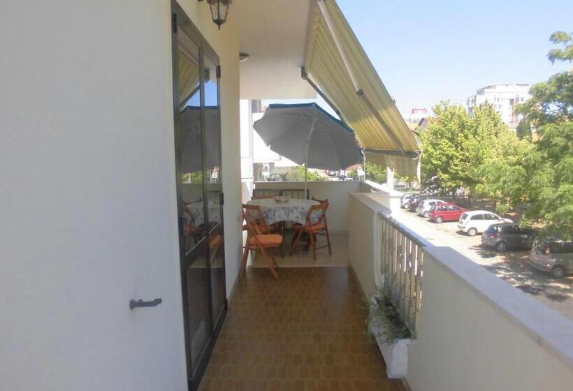 مبيت وإفطار Il Cavalluccio Marino