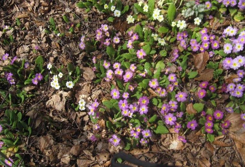 住宿加早餐 La Lune D Or