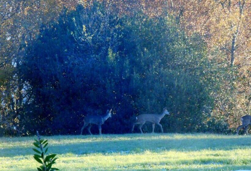 住宿加早餐  Le Colombier