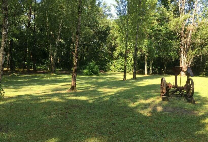 ベッドアンドブレックファースト Les Pins Perdus