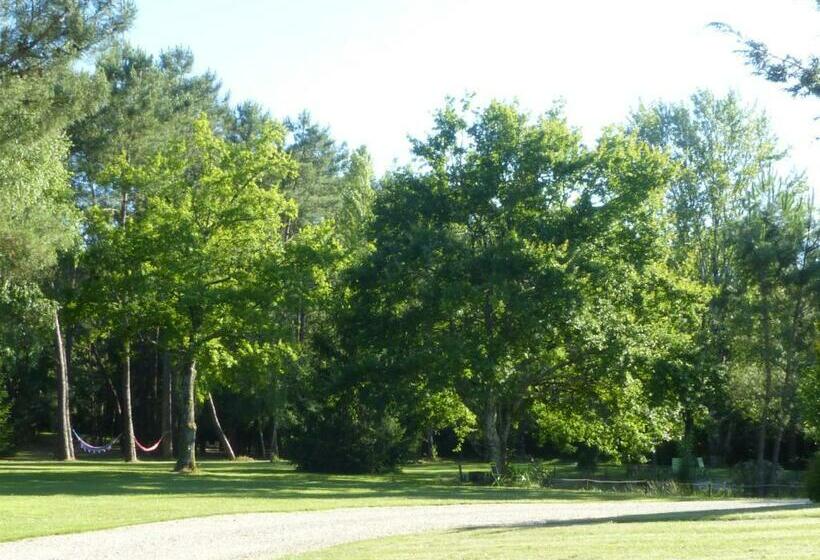 ベッドアンドブレックファースト Les Pins Perdus