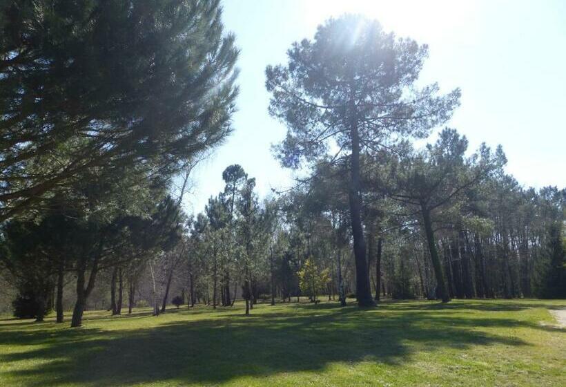 ベッドアンドブレックファースト Les Pins Perdus