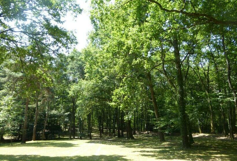 ベッドアンドブレックファースト Les Pins Perdus