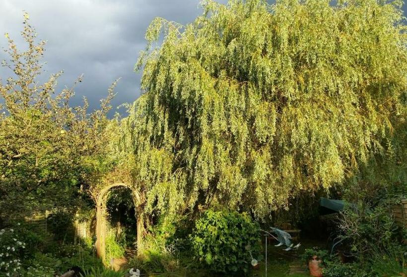 Bed and Breakfast Rowlands Castle No 41