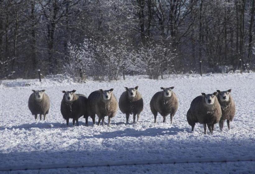 مبيت وإفطار Skoallehus Vakantiewoning