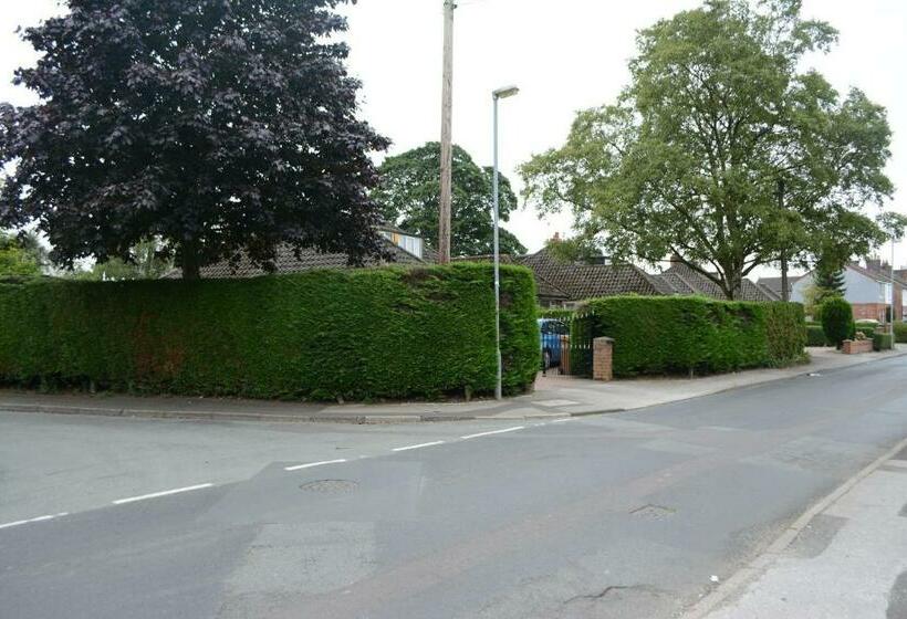 مبيت وإفطار The Kiwi House