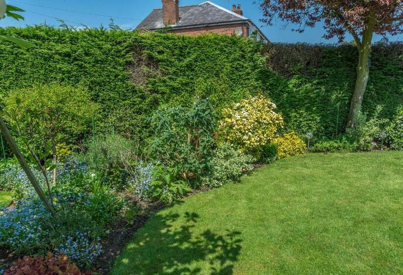 مبيت وإفطار The Kiwi House