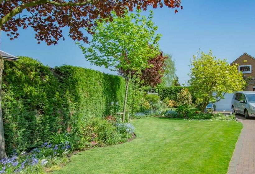 مبيت وإفطار The Kiwi House