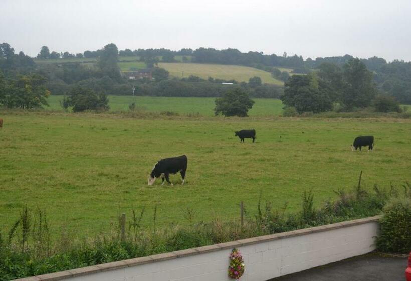 تختخواب و صبحانه The Lilacs