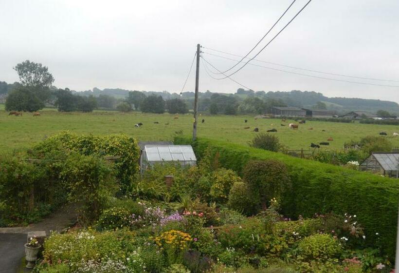 تختخواب و صبحانه The Lilacs