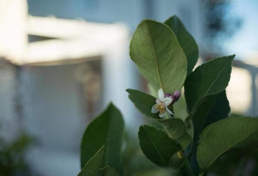 민박 The Whitehouse