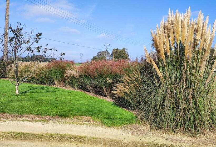 민박 Gîte Ti Maes