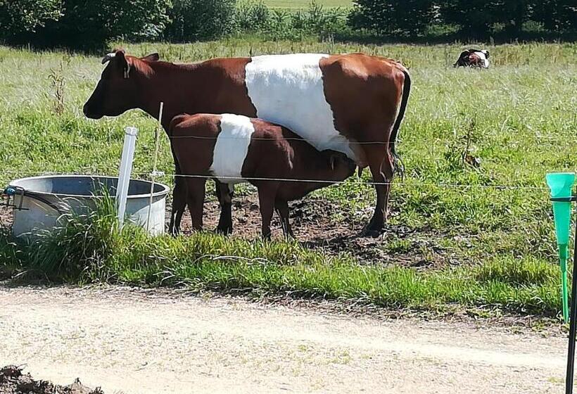 민박 Gîte Ti Maes