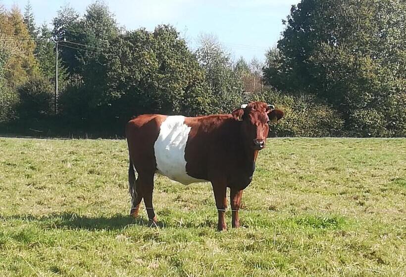 민박 Gîte Ti Maes