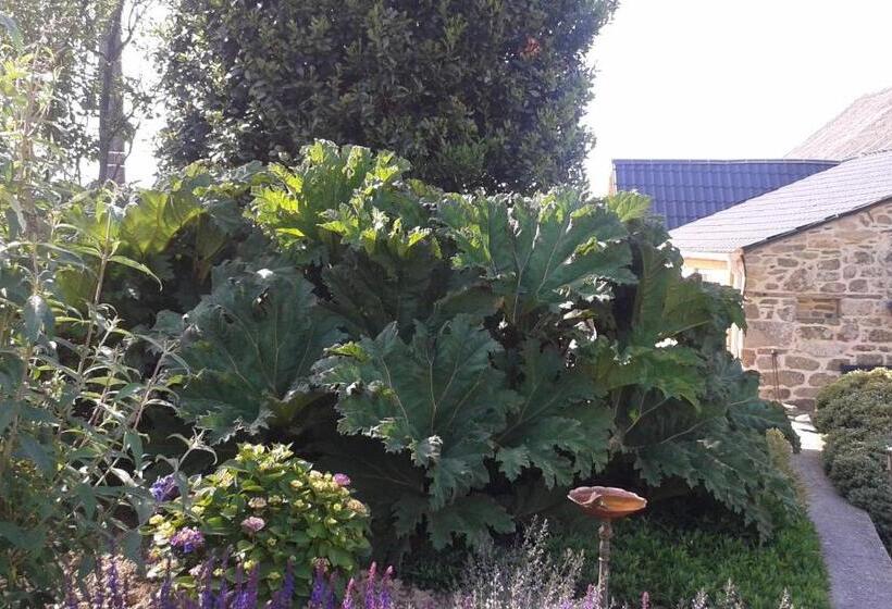 민박 Gîte Ti Maes