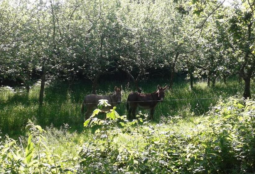 민박 Gîte Ti Maes