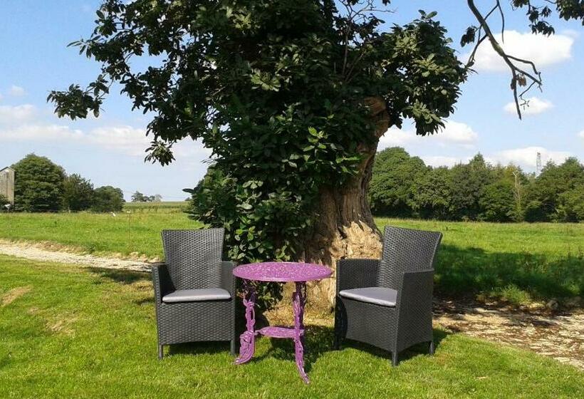 민박 Gîte Ti Maes