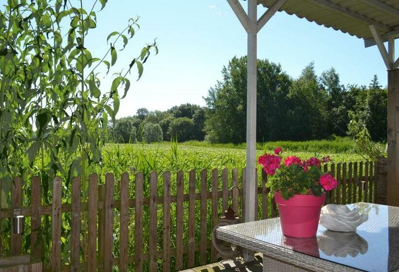 Bed & Breakfast Boszicht Leeuwarden