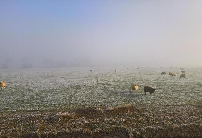 Bed & Breakfast Boszicht Leeuwarden