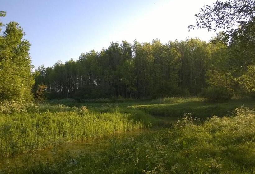 Bed & Breakfast Boszicht Leeuwarden