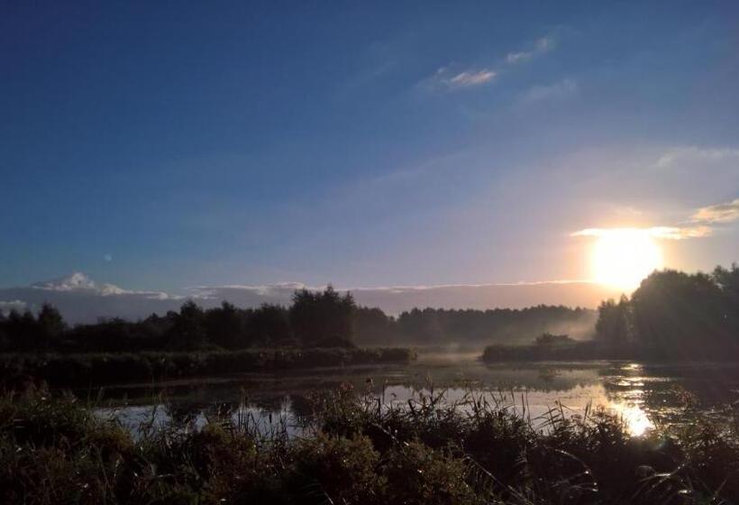 Bed & Breakfast Boszicht Leeuwarden
