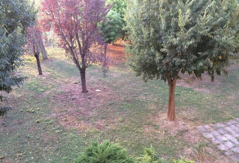 Bed & Breakfast Da Eliana