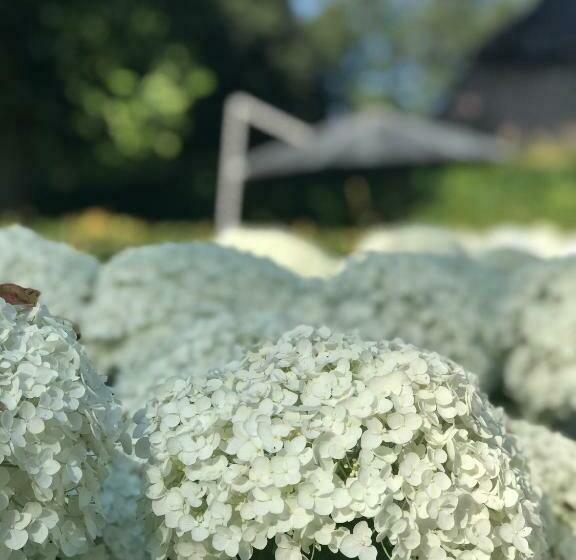 Bed & Breakfast Karakter