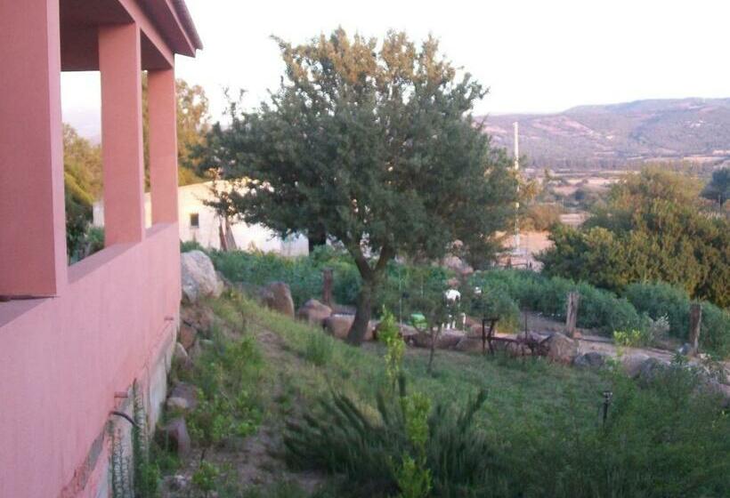 ホテル Agriturismo Lu Palu