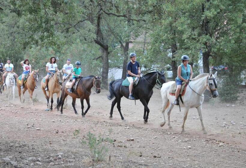 ホテル Alojamientos Rural Tejerina