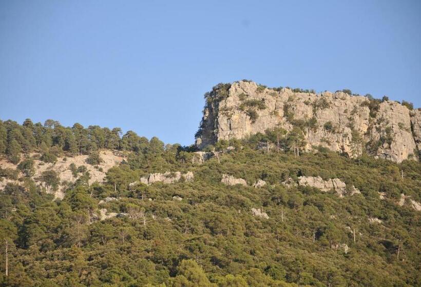 ホテル Alojamientos Rural Tejerina