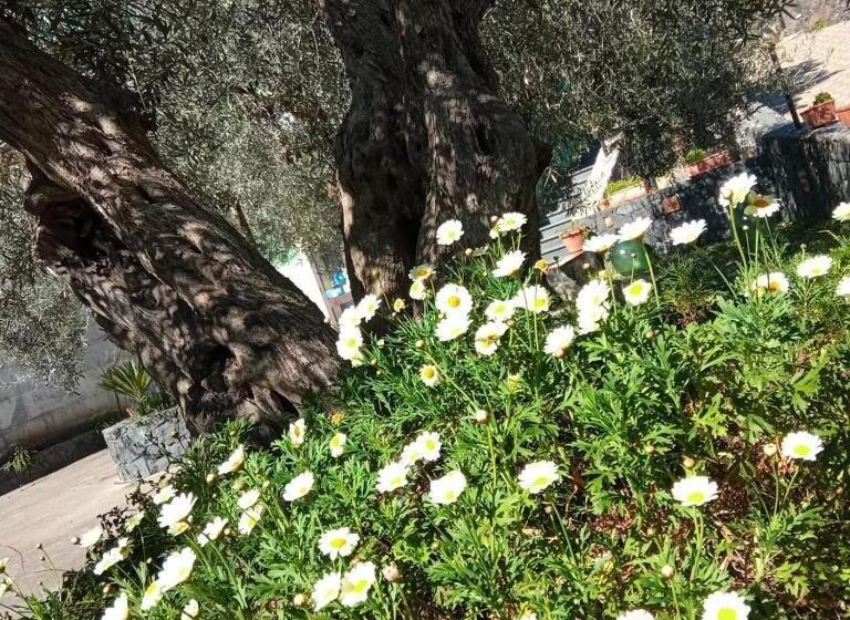 Отель Azienda Agricola Cuntarati