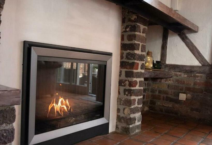 בית מלון כפרי De Vitsemolenhoeve