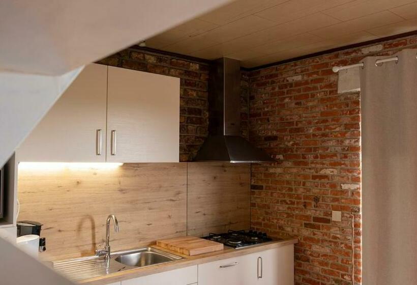 בית מלון כפרי De Vitsemolenhoeve