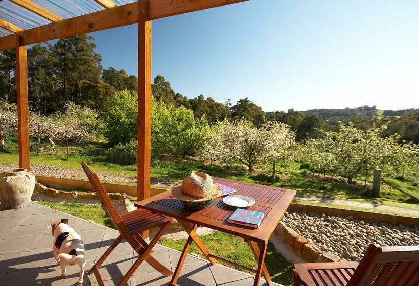 בית מלון כפרי Elvenhome Farm